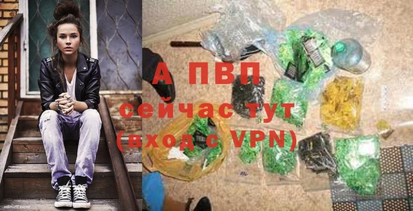 первитин Богданович
