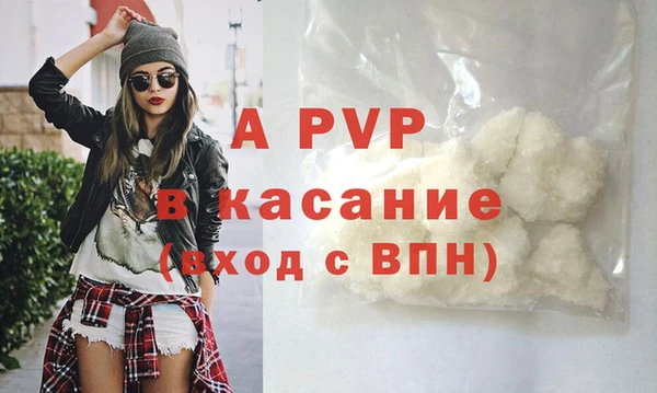 первитин Богданович